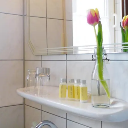 Landgasthof Zum Hirschen Betriebsgesellschaft Mbh Affittacamere 3*
